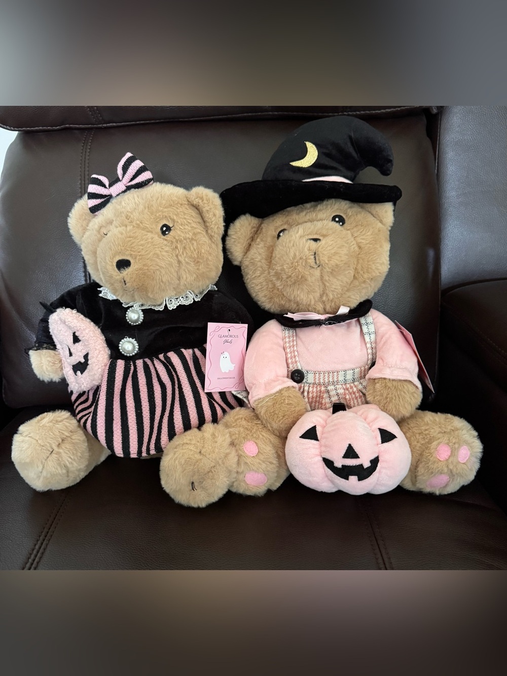 Set of Glamorous Ghouls Pink & Black Halloween Bear Duo Plush Costume Boy & Girl